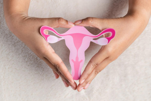 Fibroid Uterus